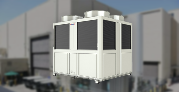 Miércoles 26: 10:00 – 12:30 Hrs.